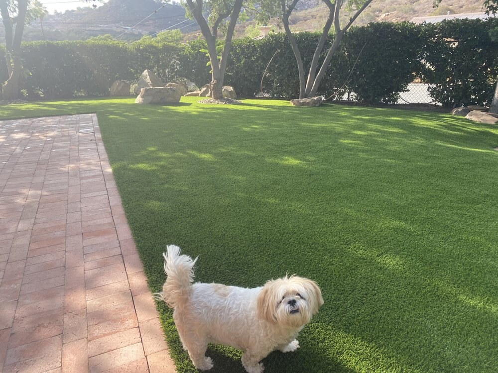 Artificial grass dog run in San Diego, CA by TurboSurfacing